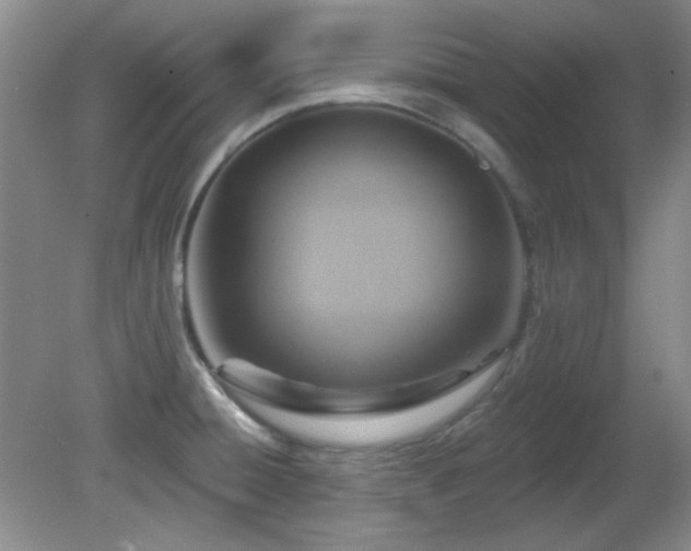 X0000081381428200701182154