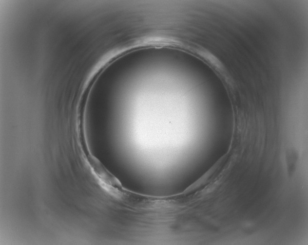X0000081381430200701182154