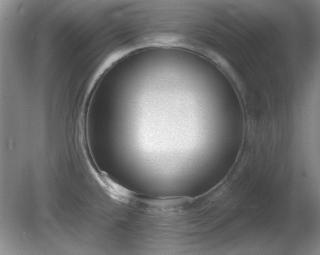 X0000081381432200701182154