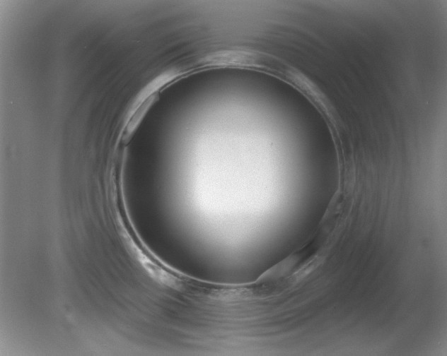 X0000081381434200701182154