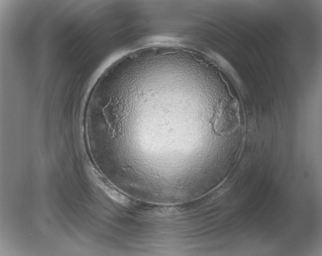 X0000081381435200701182154