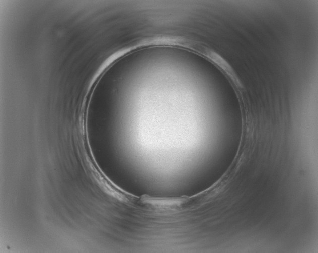 X0000081381436200701182154