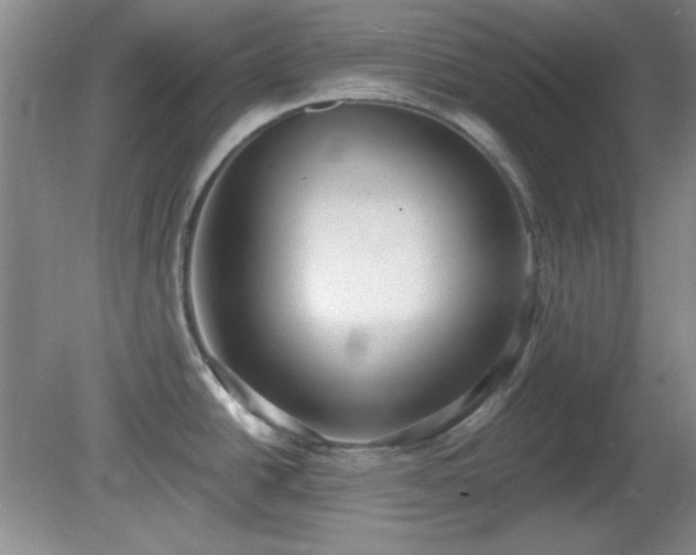 X0000081381438200701182154