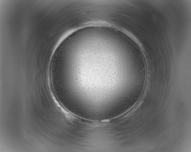 X0000081381440200701182154