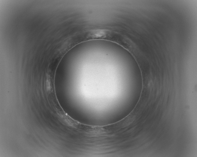 X0000081381442200701182153