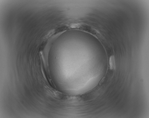 X0000081381443200701182153
