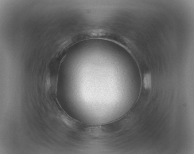 X0000081381444200701182153