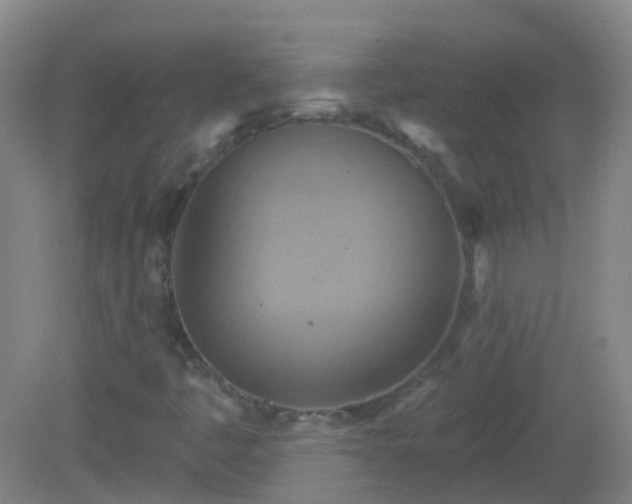 X0000081381445200701182153