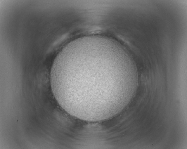 X0000081381447200701182153
