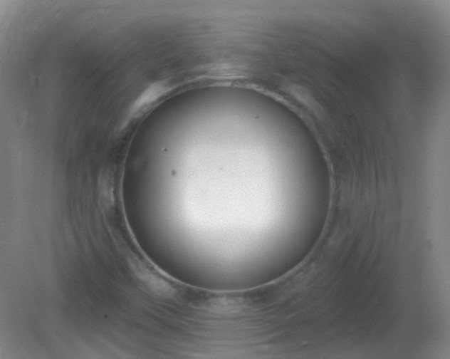 X0000081381451200701182153