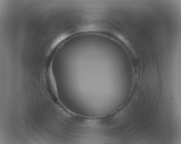 X0000081381453200701182153