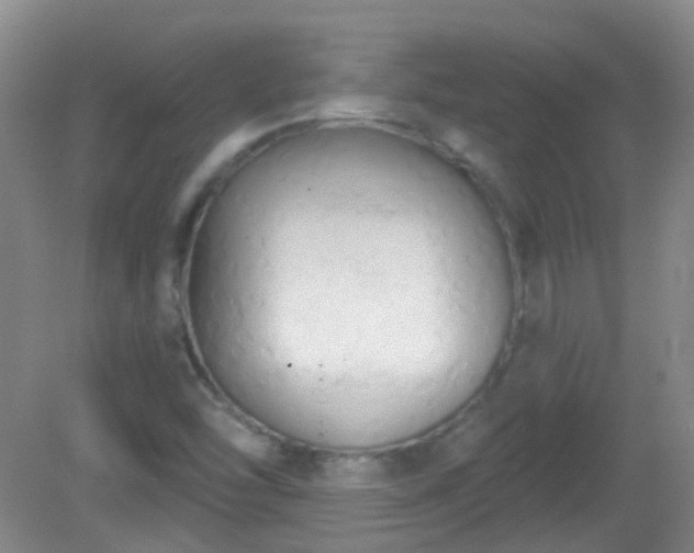X0000081381454200701182153