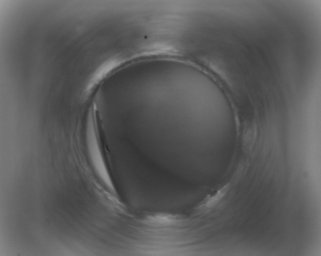 X0000081381455200701182153