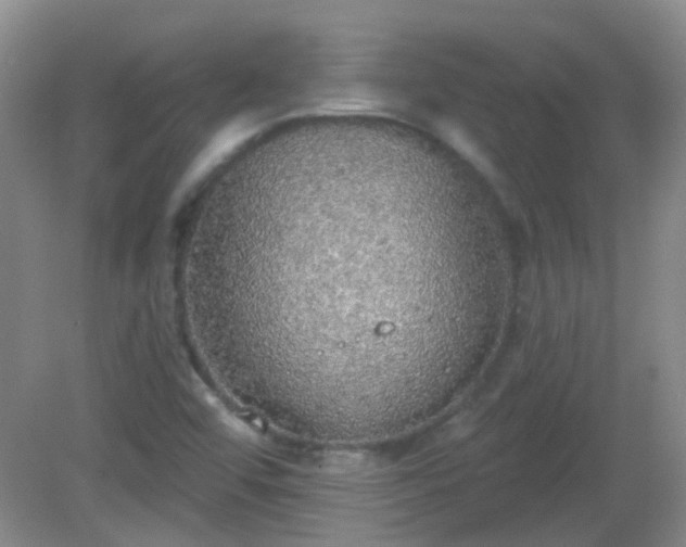 X0000081381456200701182153