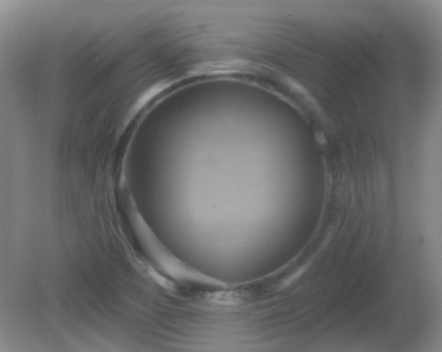 X0000081381457200701182153