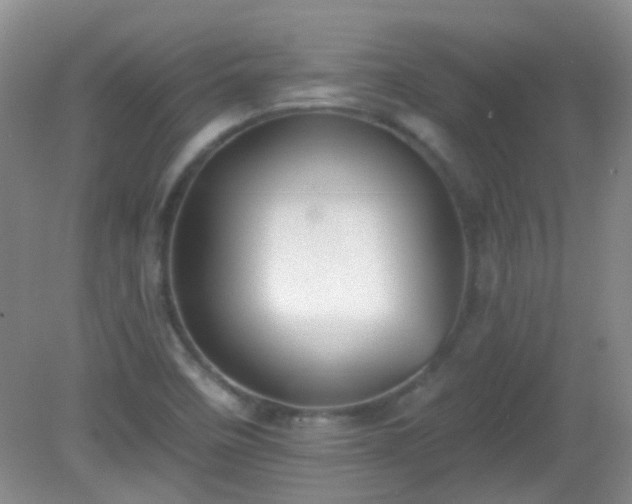 X0000081381458200701182153