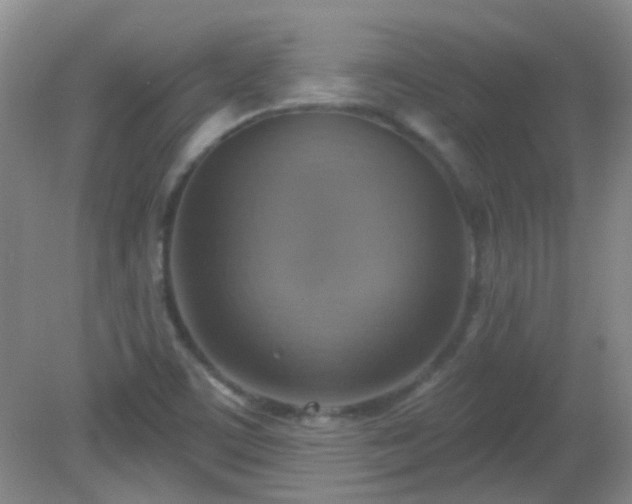X0000081381459200701182153