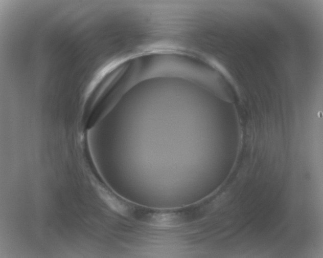 X0000081381461200701182153
