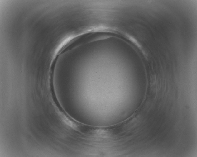X0000081381463200701182153