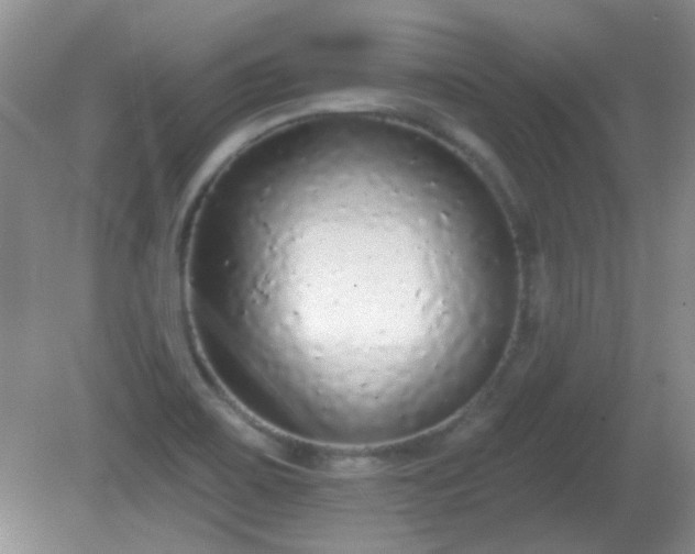 X0000081381467200701182153