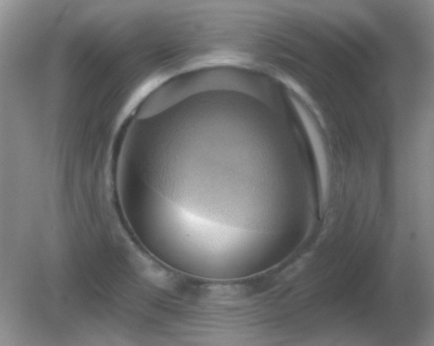 X0000081381469200701182153