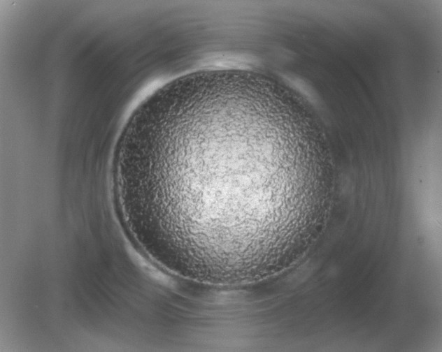 X0000081381471200701182153