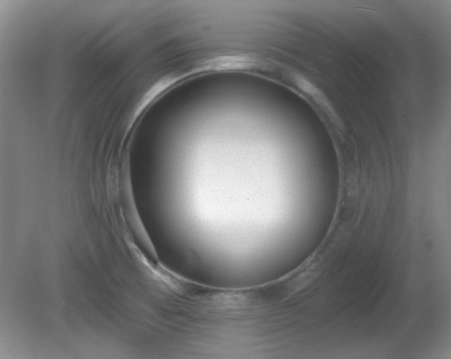 X0000081381473200701182153