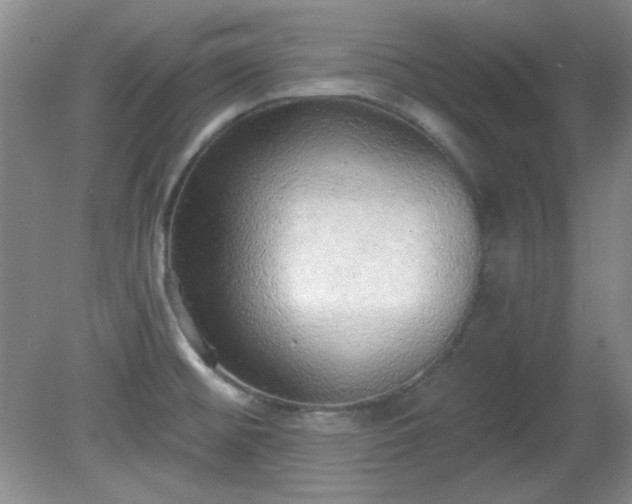 X0000081381476200701182153
