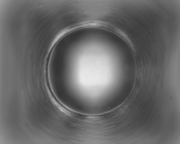 X0000081381483200701182152