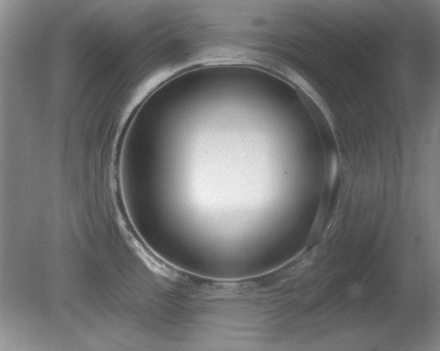 X0000081381485200701182152