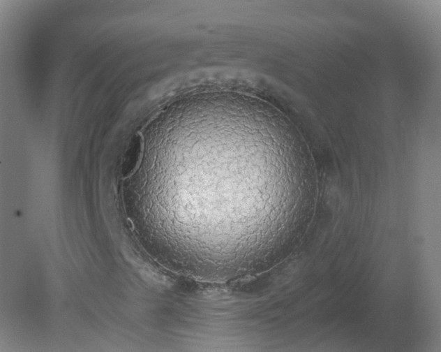 X0000081381489200701182152