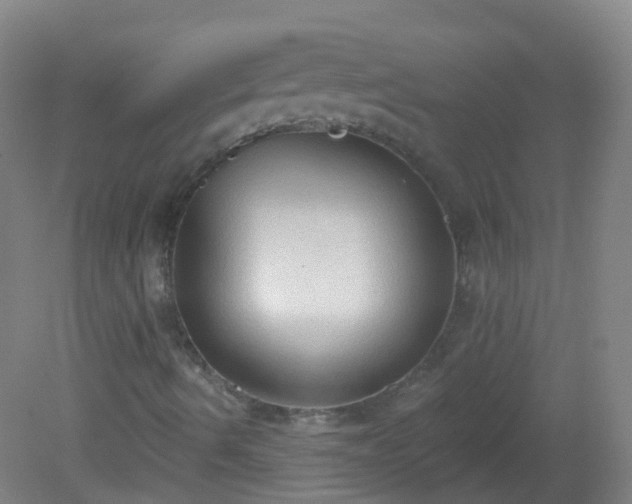 X0000081381490200701182152