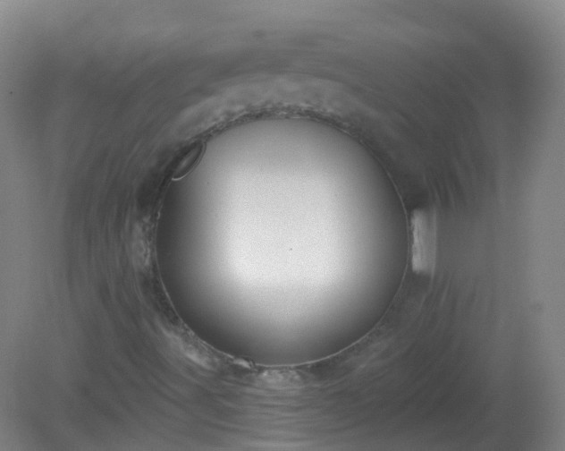 X0000081381491200701182152