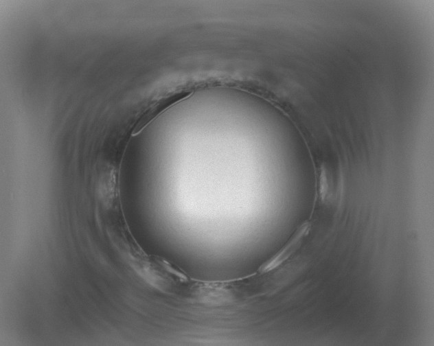 X0000081381492200701182152