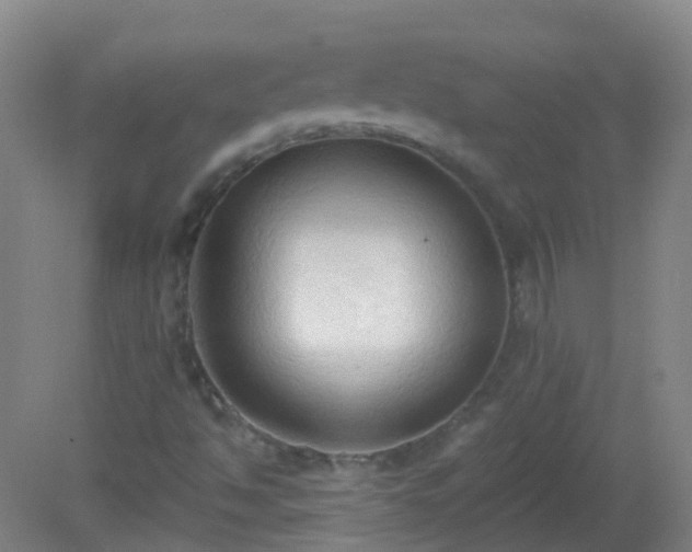 X0000081381494200701182152
