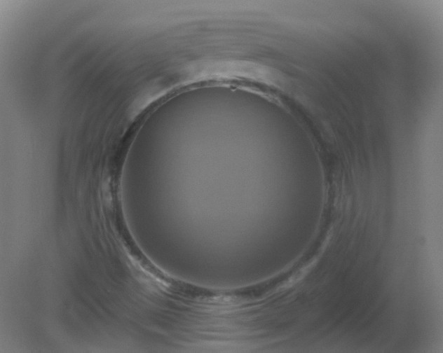 X0000081381497200701182152