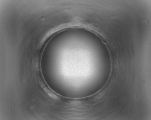 X0000081381499200701182152