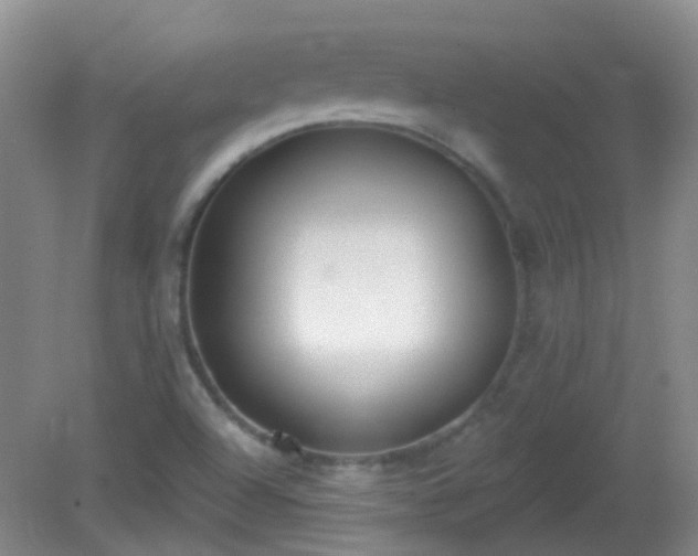 X0000081381504200701182152