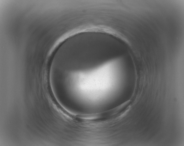 X0000081381506200701182152