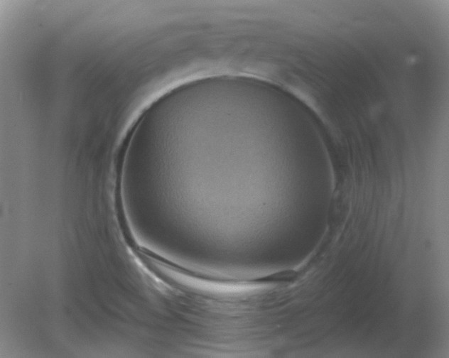 X0000081381508200701182152
