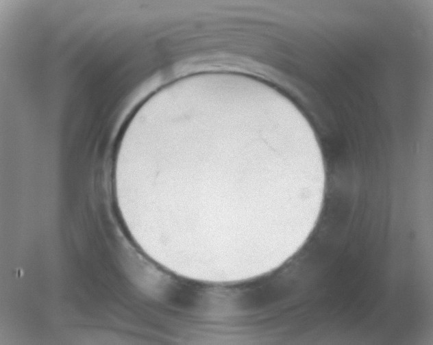 X0000081381514200701182152