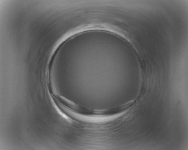 X0000081381519200701182152