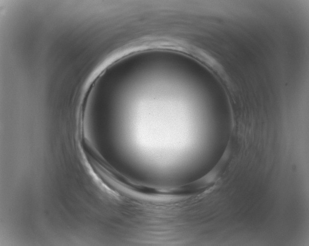 X0000081381520200701182152