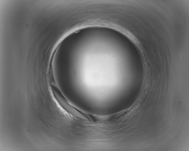 X0000081381536200701182152