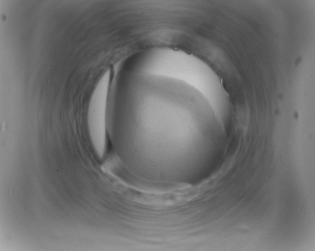X0000081380029200701252050