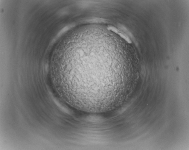 X0000081380063200701252049