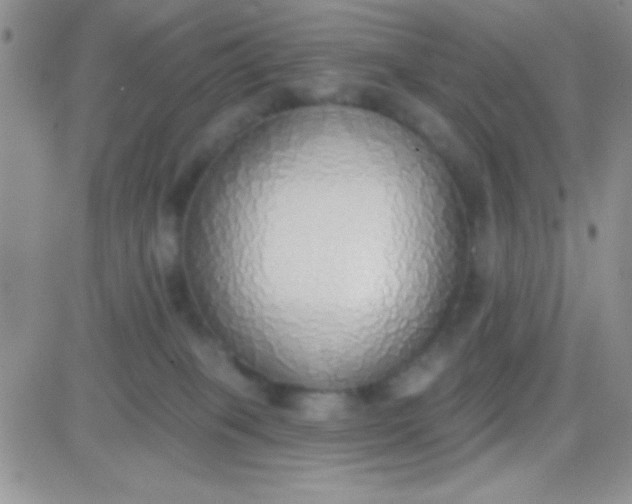 X0000081380085200701252050