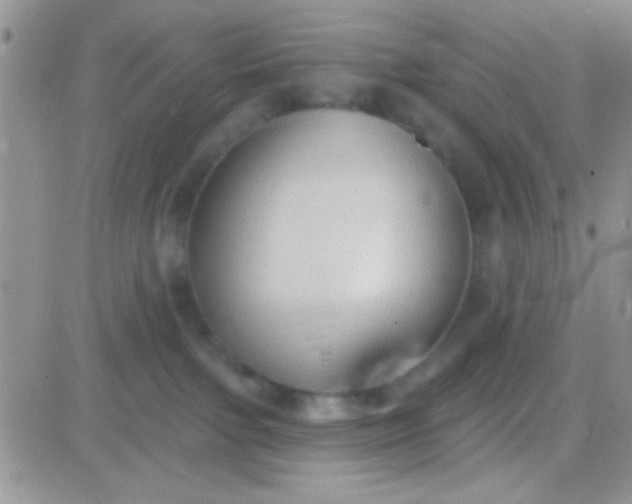 X0000081380091200701252050