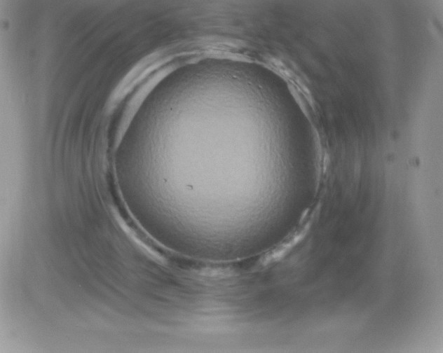X0000081380101200701252049