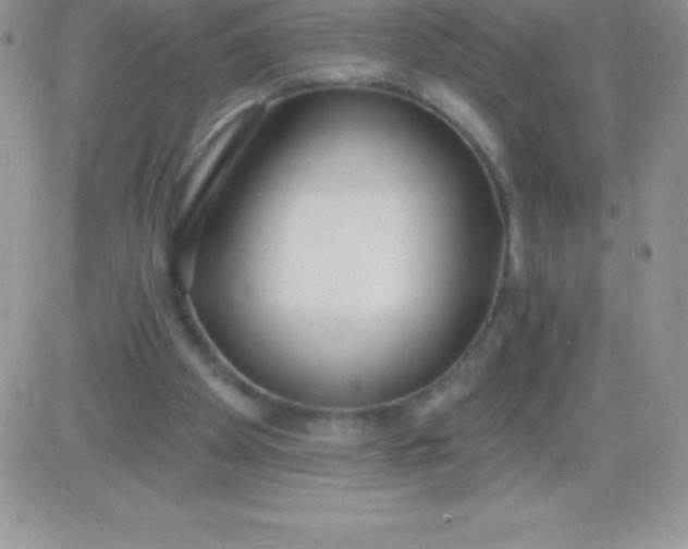 X0000081380105200701252049